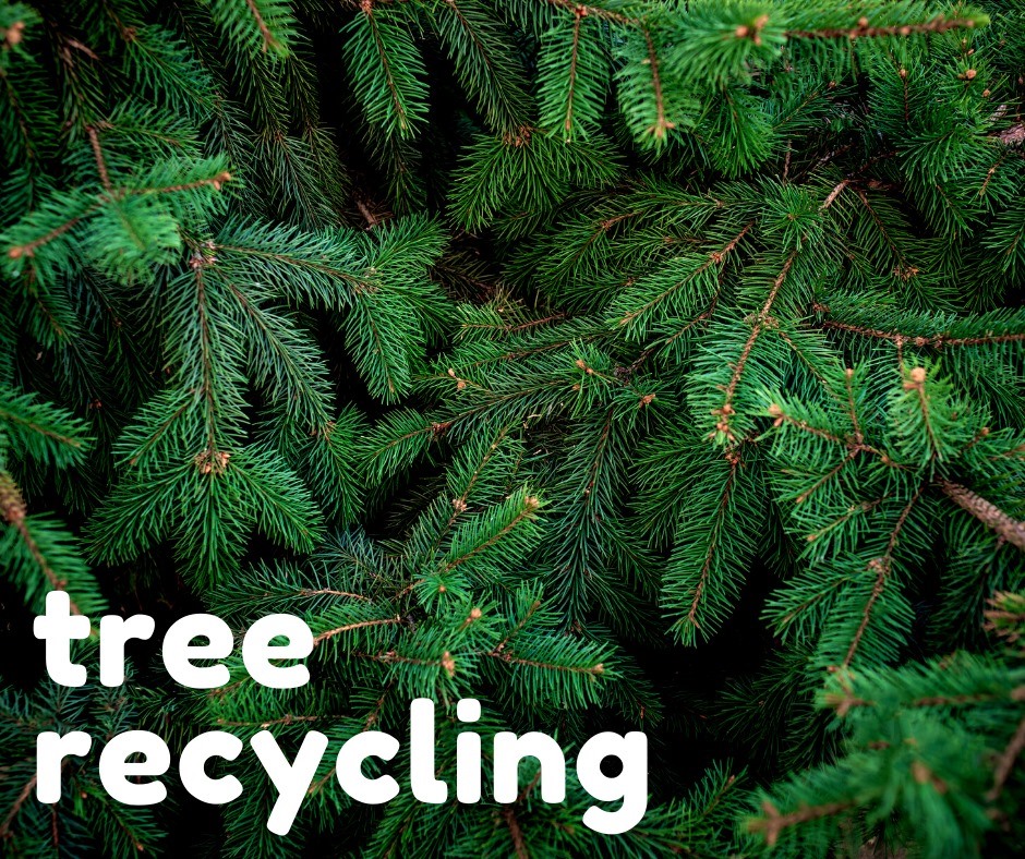 Christmas Recycling